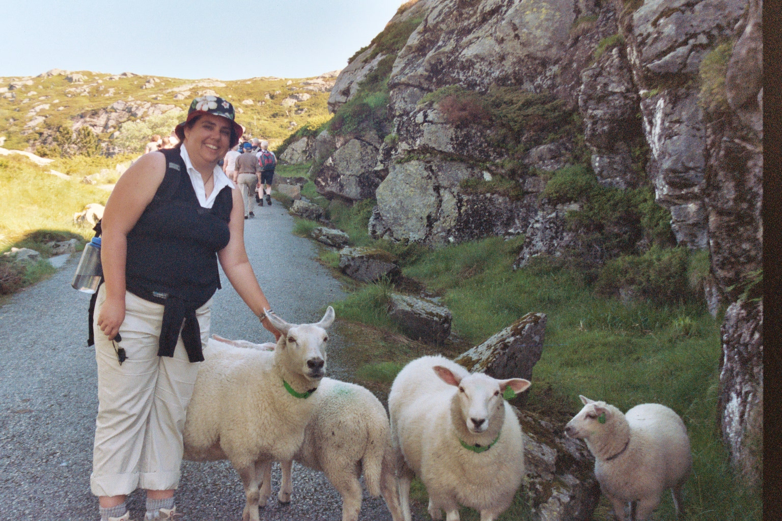 Me petting sheep in Norway